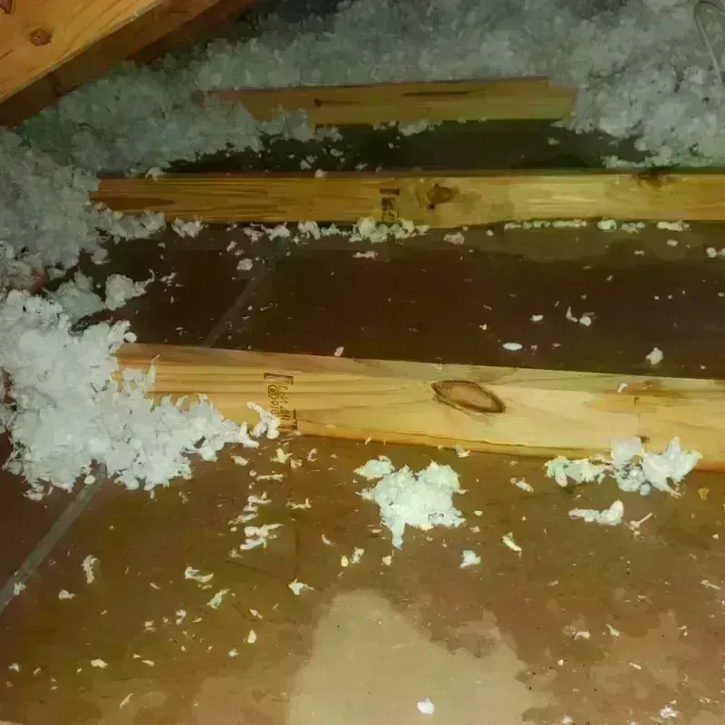 Attic Water Damage in Jacksonville, AR