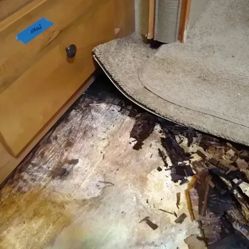 Wood Floor Water Damage in Jacksonville, AR